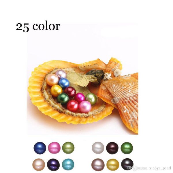 2020 diy new akoya love seawater pearl oyster 6-7mm red shell pearl oyster with vacuum packaging wholesale, White
2020 diy new akoya love seawater pearl oyster 6-7mm red shell pearl oyster with vacuum packaging wholesale, White