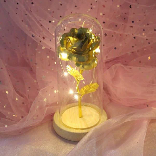 24k gold foil rose flower beauty rose and beast battery powered red flower string valentine's mother's gifts
24k gold foil rose flower beauty rose and beast battery powered red flower string valentine's mother's gifts
