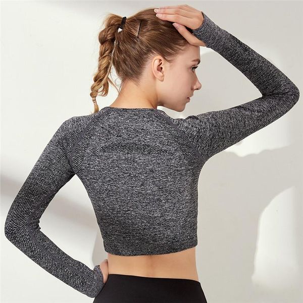sports outdoor europe and america leisure fitness skinny nylon stretch yoga wear long sleeve wholesale, White;red
sports outdoor europe and america leisure fitness skinny nylon stretch yoga wear long sleeve wholesale, White;red