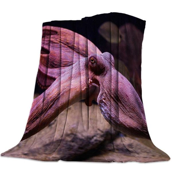 mollusk ocs color changing organism flannel fleece bed blanket bedspread coverlet bed cover soft lightweight warm blankets
mollusk ocs color changing organism flannel fleece bed blanket bedspread coverlet bed cover soft lightweight warm blankets