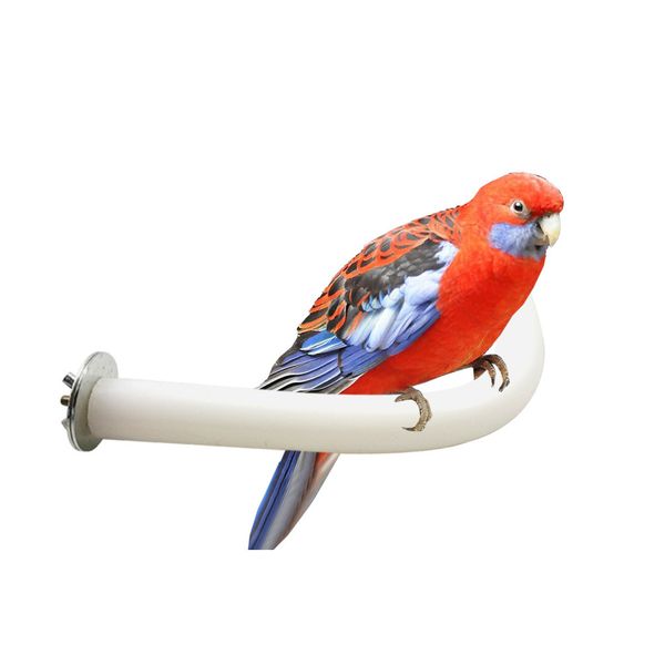 squirrel hamster u form a molar tooth stick / jumping column / springboard parrot massage stand bar a molar tooth club bird toys
squirrel hamster u form a molar tooth stick / jumping column / springboard parrot massage stand bar a molar tooth club bird toys