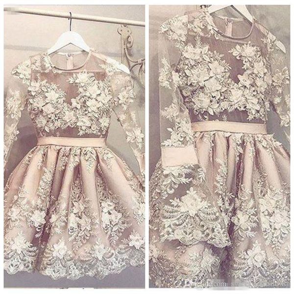sheer long sleeves short lace homecoming dresses 2019 custom o-neck formal party gowns graduations vestidos de soiree beaded, Blue;pink
sheer long sleeves short lace homecoming dresses 2019 custom o-neck formal party gowns graduations vestidos de soiree beaded, Blue;pink