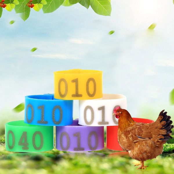 100pcs open-ended foot rings for chicken ducks geese
100pcs open-ended foot rings for chicken ducks geese