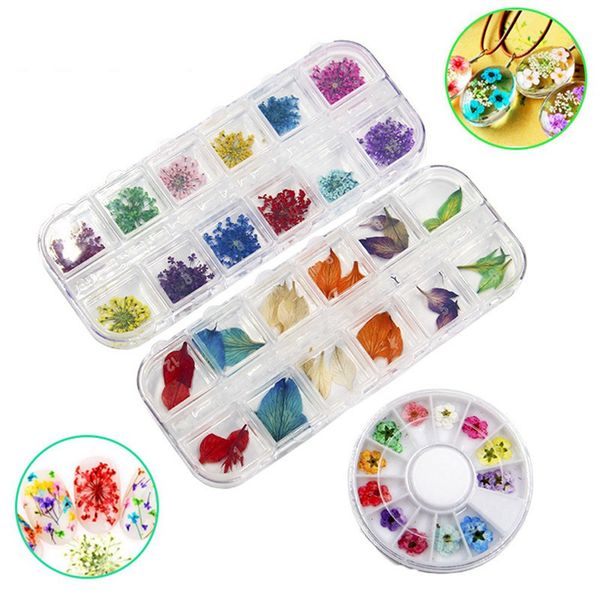 1 box mixed dried flowers nail art diy preserved flower rhinestone with heart-shaped box glass bottle for nail art decoration, Silver;gold
1 box mixed dried flowers nail art diy preserved flower rhinestone with heart-shaped box glass bottle for nail art decoration, Silver;gold