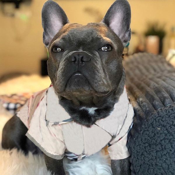 dog shirt for small dogs spring summer plaid shirt for chihuahua apparel pug costume pc0985
dog shirt for small dogs spring summer plaid shirt for chihuahua apparel pug costume pc0985