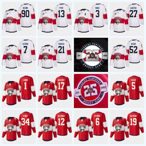 Youth 1 Roberto Luongo 25th Anniversary Florida Panthers 16 Aleksander Barkov 5 Aaron Ekblad 68 Mike Hoffman 3 Keith Yandle Hockey Jersey 
Youth 1 Roberto Luongo 25th Anniversary Florida Panthers 16 Aleksander Barkov 5 Aaron Ekblad 68 Mike Hoffman 3 Keith Yandle Hockey Jersey