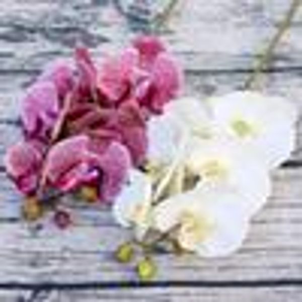 3d artificial butterfly flowers fake moth flor orchid flower for wedding diy decoration real touch home decor flore c19021401
3d artificial butterfly flowers fake moth flor orchid flower for wedding diy decoration real touch home decor flore c19021401