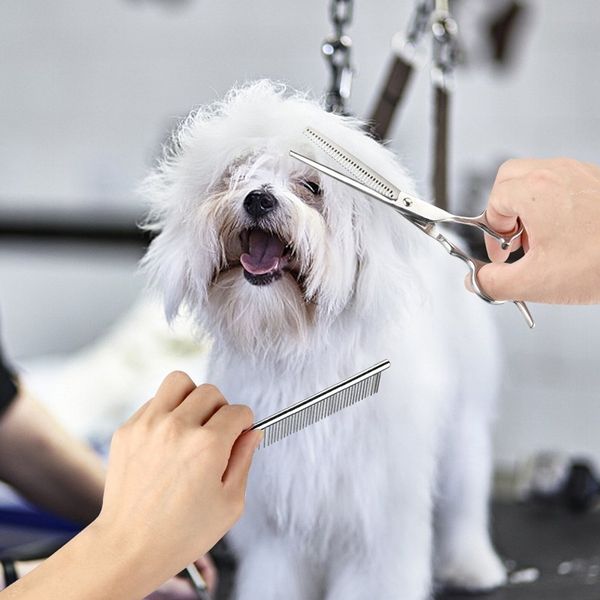 botique-dog pet ножницы безопасных полукруглая головка набор из пяти плоских ножниц зубов shear искривления shear прямая ей comb обрезка вол
botique-dog pet ножницы безопасных полукруглая головка набор из пяти плоских ножниц зубов shear искривления shear прямая ей comb обрезка вол