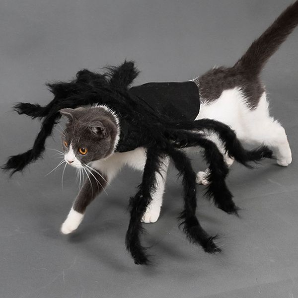 spider dog costume halloween spider pet costumes outfit apparel furry spider legs dog apparel
spider dog costume halloween spider pet costumes outfit apparel furry spider legs dog apparel