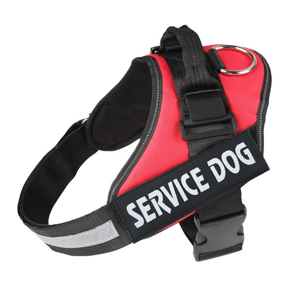 service dog breathable dog pet harness nylon leashes per collar clothes accessories puppy vest leash nylon pet mesh
service dog breathable dog pet harness nylon leashes per collar clothes accessories puppy vest leash nylon pet mesh