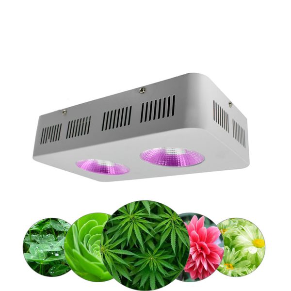 600w cob led grow light full spectrum fitolamp for indoor lettuce seeding greenhouse plants growing led phyto lamp
600w cob led grow light full spectrum fitolamp for indoor lettuce seeding greenhouse plants growing led phyto lamp