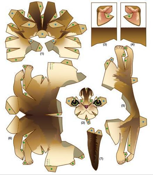 abyssinian 3d paper model parent and child diy cartoon animal kindergarten handmade paper folding children benefit
abyssinian 3d paper model parent and child diy cartoon animal kindergarten handmade paper folding children benefit