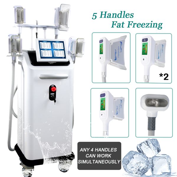 2019 selling 5 handpieces cryolipolysis slimming e fat weight loss cool shaping beauty machine for beauty salon ce
2019 selling 5 handpieces cryolipolysis slimming e fat weight loss cool shaping beauty machine for beauty salon ce