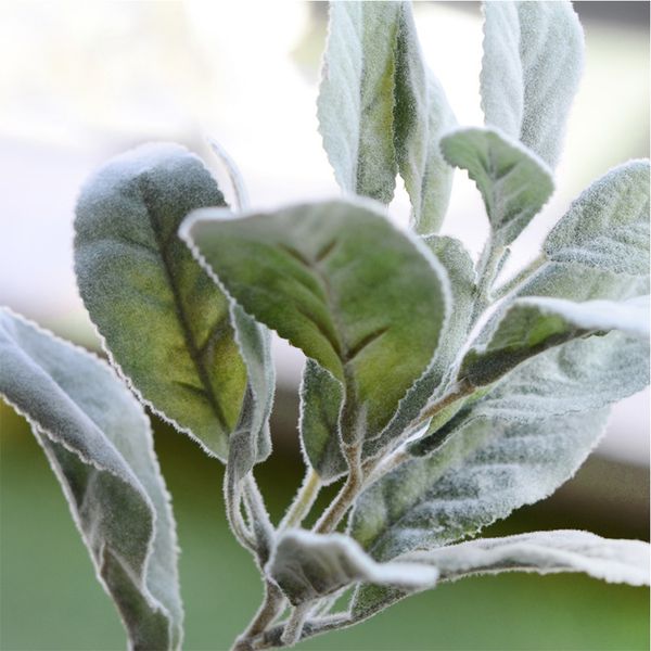 living room fake plants artificial flower table european style faux flocking ear leaves home decor wedding party plant
living room fake plants artificial flower table european style faux flocking ear leaves home decor wedding party plant