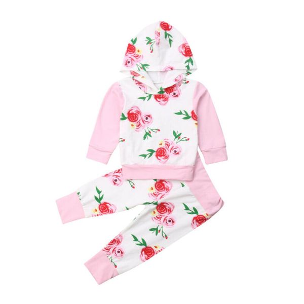 us stock 2019 new newborn baby girl floral hooded pullover pants leggings outfits clothes, Pink;blue
us stock 2019 new newborn baby girl floral hooded pullover pants leggings outfits clothes, Pink;blue