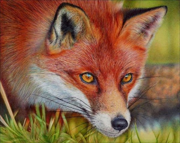 diy 5d diamond painting crafts cross stitch fox mosaic diamond embroidery sewing pattern rhinestone gifts home decor
diy 5d diamond painting crafts cross stitch fox mosaic diamond embroidery sewing pattern rhinestone gifts home decor
