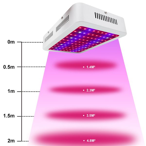 led grow light 1000w single chip full spectrum for flowers vegetables seeding greenhouse grow tent plants grow led lamp
led grow light 1000w single chip full spectrum for flowers vegetables seeding greenhouse grow tent plants grow led lamp