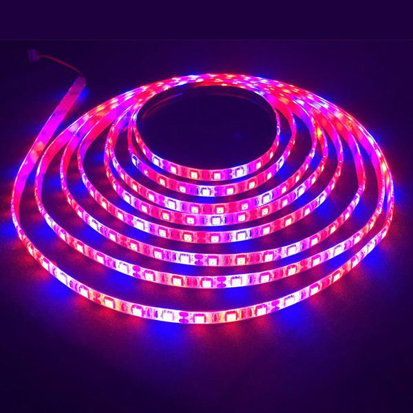 12v grow light led strip smd 5050 rb red blue light full spectrum indoor outdoor plant grow lamp for greenhouse hydroponic plant
12v grow light led strip smd 5050 rb red blue light full spectrum indoor outdoor plant grow lamp for greenhouse hydroponic plant