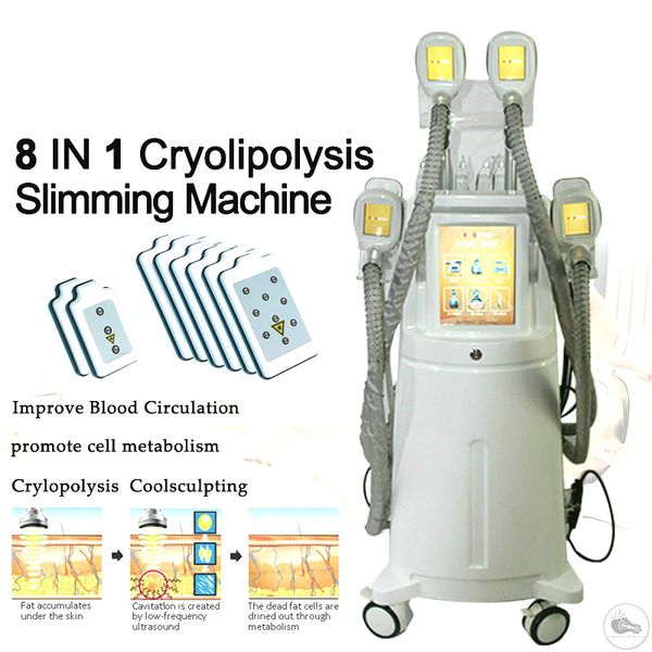 most popular double cool cryo 40k/cavitation/rf/lipo laser 5 in 1 fat ing weight reduce skin care machine
most popular double cool cryo 40k/cavitation/rf/lipo laser 5 in 1 fat ing weight reduce skin care machine