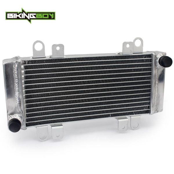 bikingboy for ninja 250 r 2009 2010 2011 2012 replace oem 39061-0122 aluminum engine water cooling cooler radiator
bikingboy for ninja 250 r 2009 2010 2011 2012 replace oem 39061-0122 aluminum engine water cooling cooler radiator