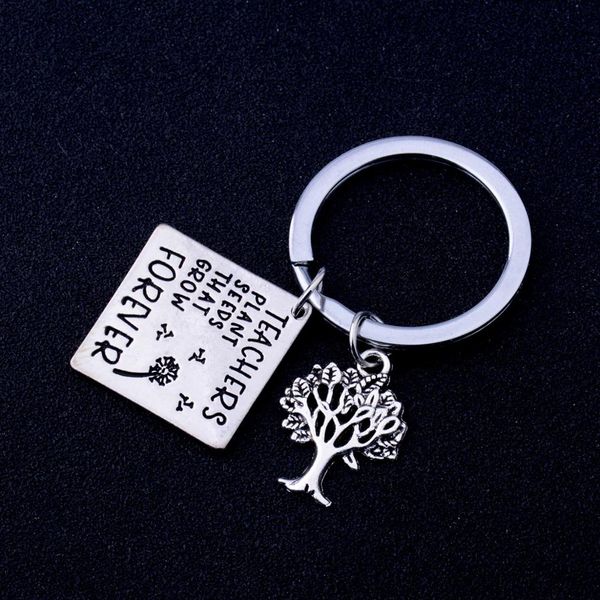 12pcs/lot teachers plant seeds that grow forever keychain teachers gift tree of life charm key rings graduation gift for teacher, Silver
12pcs/lot teachers plant seeds that grow forever keychain teachers gift tree of life charm key rings graduation gift for teacher, Silver