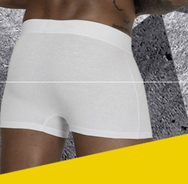 wholesale low price 5pcs/lot cotton u convex ventilation men's boxers underwear (10.8n, Black;white
wholesale low price 5pcs/lot cotton u convex ventilation men's boxers underwear (10.8n, Black;white