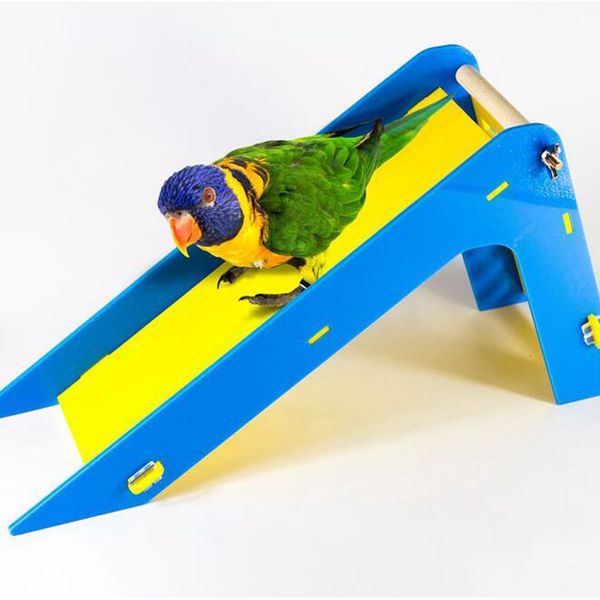 parrot pet bird rat parrot hamster mouse gerbil climbing ladder slide training toy bird cage accessories small animal play toy
parrot pet bird rat parrot hamster mouse gerbil climbing ladder slide training toy bird cage accessories small animal play toy