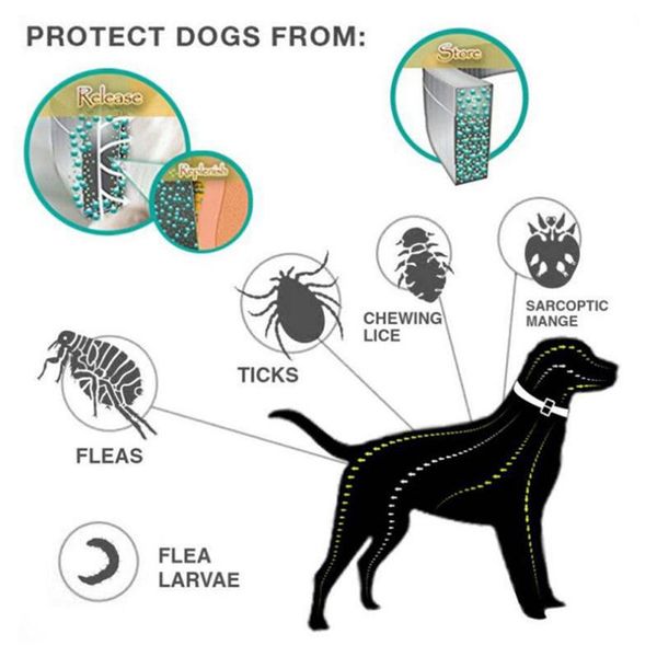 flea & tick prevention collar for cats dog mosquitoes repellent collar insect control collar anti mosquitoes tools new arrival
flea & tick prevention collar for cats dog mosquitoes repellent collar insect control collar anti mosquitoes tools new arrival