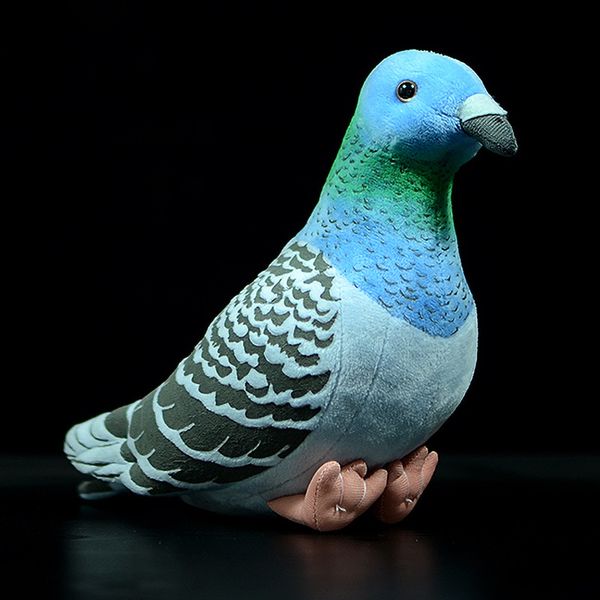 19cm cute wild pigeons simulation rock pigeon dolls super cute columba llivia pigeon dolls small letter pigeons plush toys gifts
19cm cute wild pigeons simulation rock pigeon dolls super cute columba llivia pigeon dolls small letter pigeons plush toys gifts