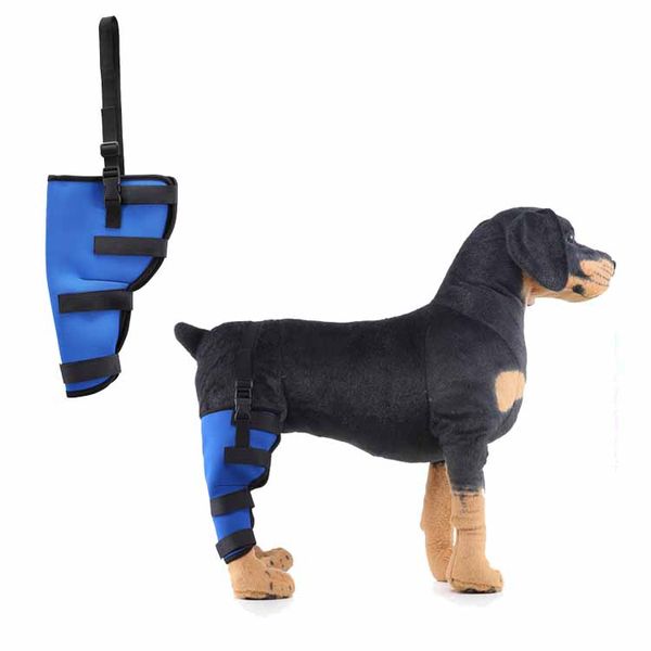 dog leg wraps dog brace for canine right leg wound care