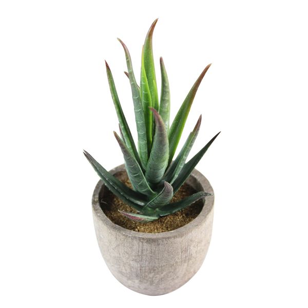decorative faux succulent artificial succulent fake simulation plants with gray pots (032
decorative faux succulent artificial succulent fake simulation plants with gray pots (032