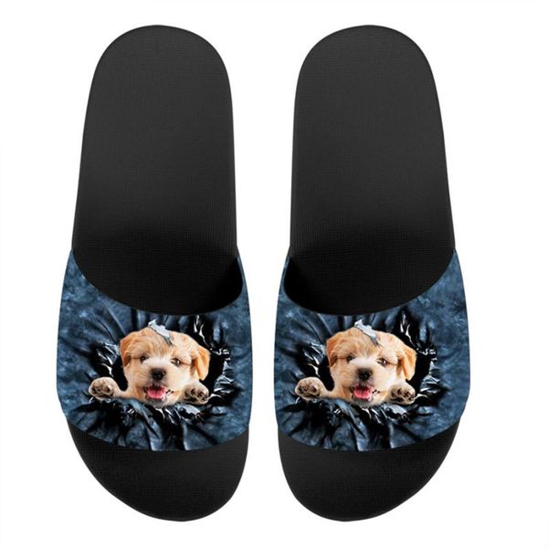 slippers hycool sandals for men women lovely little dogs pattern male spring autumn indoor footwear beach female slipper shoes, Black
slippers hycool sandals for men women lovely little dogs pattern male spring autumn indoor footwear beach female slipper shoes, Black
