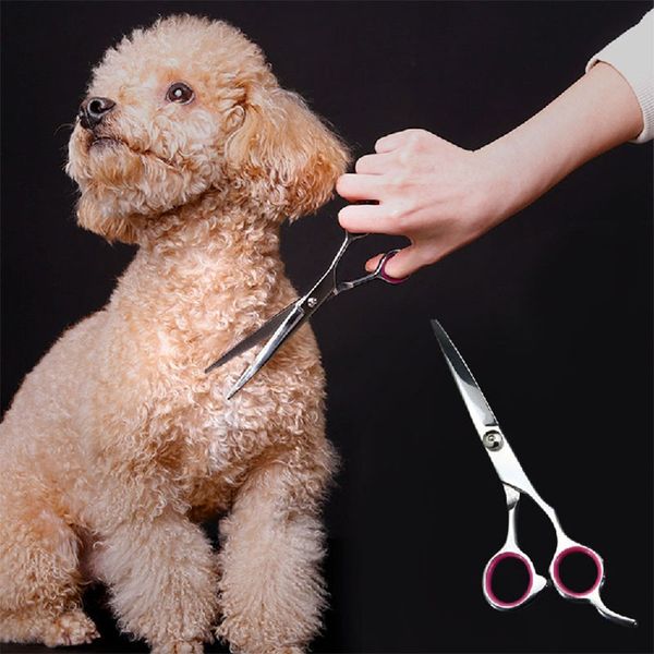 7inch stainless steel pet gromming curved blade scissors dog cat cutting hair scissors barber up curved barber cutting tools dog grooming
7inch stainless steel pet gromming curved blade scissors dog cat cutting hair scissors barber up curved barber cutting tools dog grooming