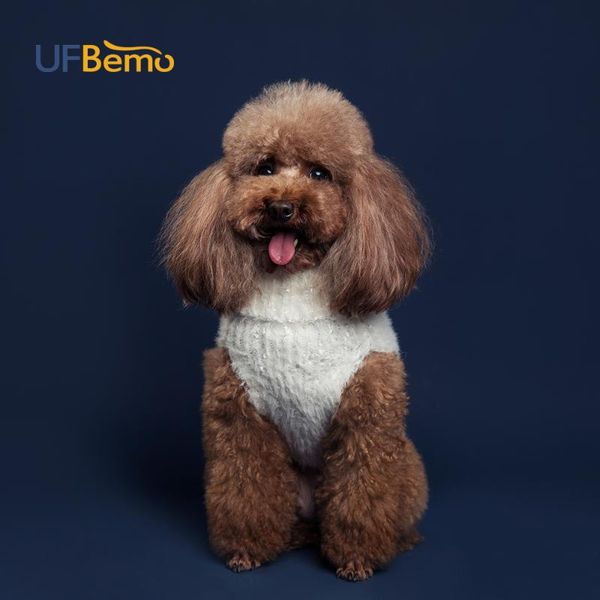 ufbemo dog sweater cat dachshund teckel turtleneck knitted stretched pullover clothes white furry costume warm soft pet puppy
ufbemo dog sweater cat dachshund teckel turtleneck knitted stretched pullover clothes white furry costume warm soft pet puppy