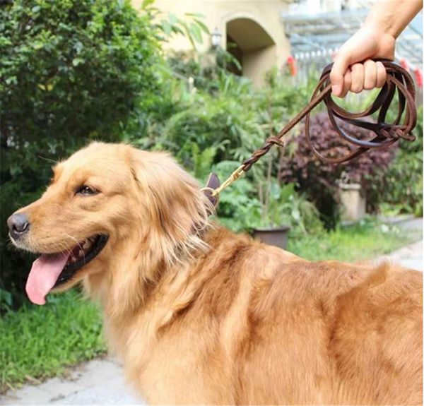 pet leash imported leather pet traction rope dog leash dog chain training rope imported copper hook pieces
pet leash imported leather pet traction rope dog leash dog chain training rope imported copper hook pieces