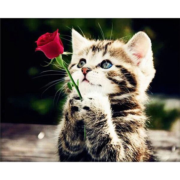 xubx15 diy 5d алмазная живопись наборы для взрослых, полный дрель вышивка краска с алмазом для домашнего декора стен
xubx15 diy 5d алмазная живопись наборы для взрослых, полный дрель вышивка краска с алмазом для домашнего декора стен