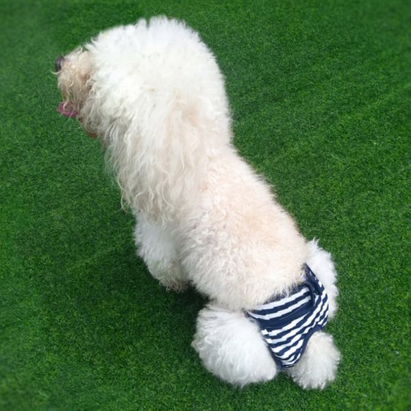 pet dog washable small and medium dog diapers durable premium female dog reusable sanitary wraps striped panties
pet dog washable small and medium dog diapers durable premium female dog reusable sanitary wraps striped panties