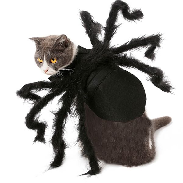 spider dog costume halloween spider pet costumes outfit apparel furry spider legs dog apparel
spider dog costume halloween spider pet costumes outfit apparel furry spider legs dog apparel