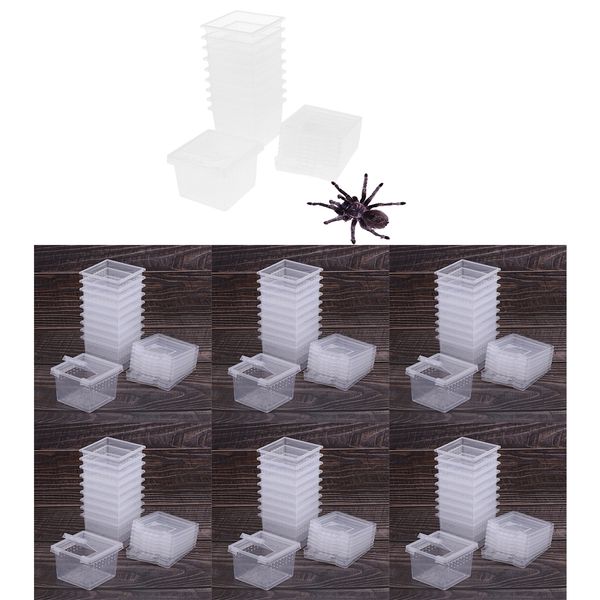 60pcs / set insect reptile spider terrariums breeding box