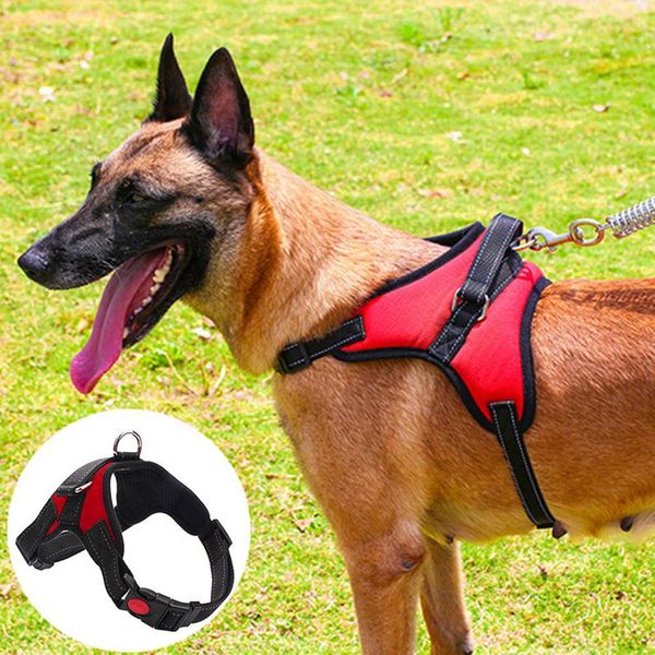 adjustable comfort soft dog pet vest rope chest strap leash collar dog harness water resistant training safety
adjustable comfort soft dog pet vest rope chest strap leash collar dog harness water resistant training safety