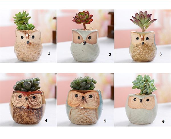 cartoon owl-shaped flower pot for succulents fleshy plants flower pot ceramic small mini home/garden/office decoration
cartoon owl-shaped flower pot for succulents fleshy plants flower pot ceramic small mini home/garden/office decoration