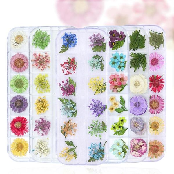 delicate dry flower uv gel nail art decor 3d real dried flowers nail tips floral stickers women manicure handcraft diy tool, Silver;gold
delicate dry flower uv gel nail art decor 3d real dried flowers nail tips floral stickers women manicure handcraft diy tool, Silver;gold