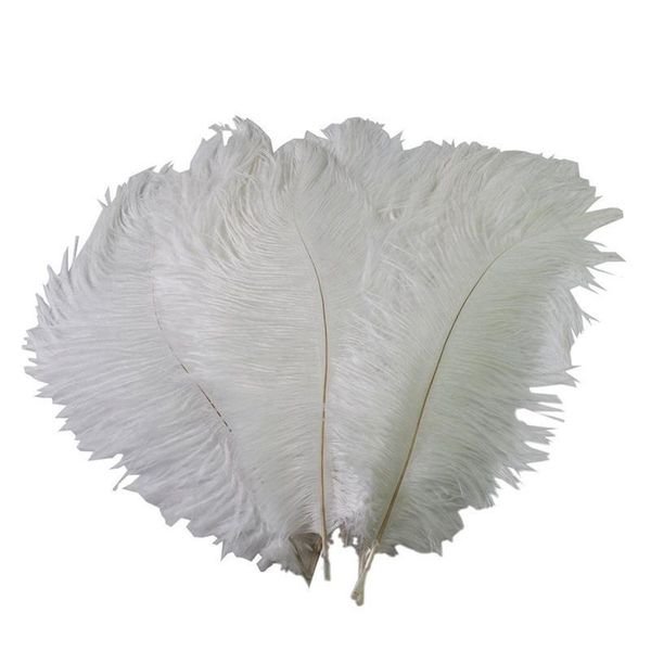 colorful 20-22 inch 50-55 cm ostrich feather plumes for wedding centerpiece wedding party event decor festive decoration
colorful 20-22 inch 50-55 cm ostrich feather plumes for wedding centerpiece wedding party event decor festive decoration