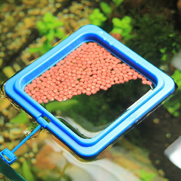with suction cup fish tank square round durable home aquarium diy floating portable lightweight feeding ring other aquarium fish
with suction cup fish tank square round durable home aquarium diy floating portable lightweight feeding ring other aquarium fish