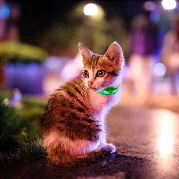 sell usb cable led nylon dog collar dog cat harness flashing light up night safety pet collars multi color xs-xl christmas accessories
sell usb cable led nylon dog collar dog cat harness flashing light up night safety pet collars multi color xs-xl christmas accessories
