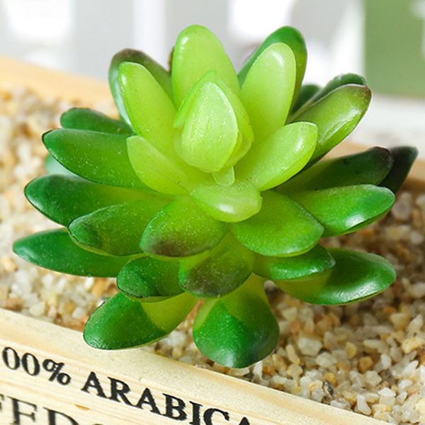 artificial bonsai simulation succulent plant living room home office desk decor tanle desk table fake plant deco
artificial bonsai simulation succulent plant living room home office desk decor tanle desk table fake plant deco