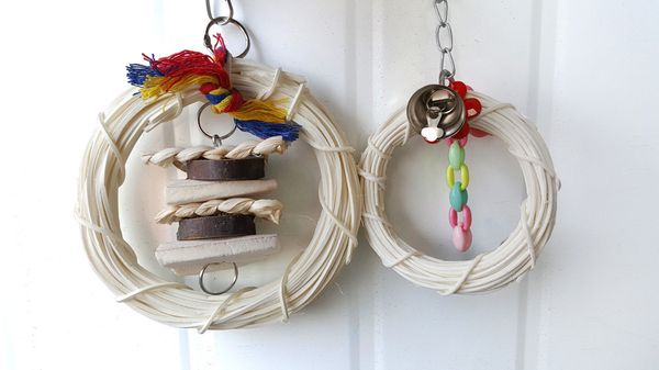 middle and small size parrot articles gnaw toys natural cuttlefish bone circle leveret circle
middle and small size parrot articles gnaw toys natural cuttlefish bone circle leveret circle
