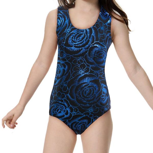 2018shiny blue roses design dance unitard girls sleeveless gymnastic leotard dancewear acrobatics professional training costumes
2018shiny blue roses design dance unitard girls sleeveless gymnastic leotard dancewear acrobatics professional training costumes