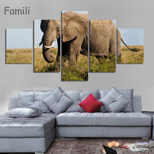 5 панно слон картины печать на холсте wall art холст поп-арт cuadros decora hd отпечатки для гостиной
5 панно слон картины печать на холсте wall art холст поп-арт cuadros decora hd отпечатки для гостиной