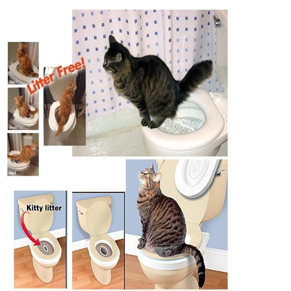 easy tool for cats in toilet potty training system for citykitty cat ,citykitty cat tool for cat lovers
easy tool for cats in toilet potty training system for citykitty cat ,citykitty cat tool for cat lovers